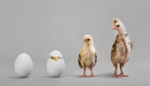 Bioworld Debuts New IoT and Incubator Divisions