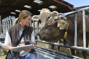 How Farms Could Become the New Smart Factories