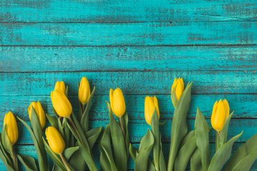Paxata Blooms with New Spring Release