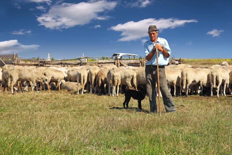 3 Ways CIOs Can Shepherd Machine Learning and AI Adoption in the Enterprise