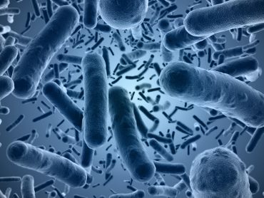 A Bio Internet of Things? Hold That Thought