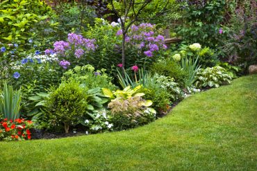 Data-Driven Gardening: Human-Data Interaction the Key