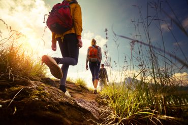 Datawatch: Lost in the Woods? Analytics Might Save Your Life