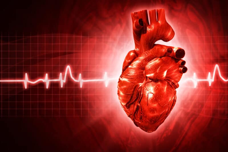 Machine Learning With Heart