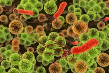 AI May Have Defeated Another Superbug